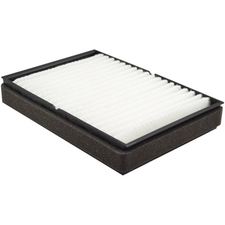 Hastings - Cabin Air Panel Filters - AF2429