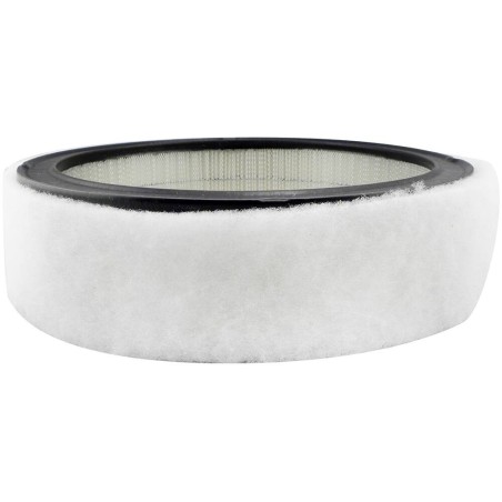 Hastings - Axial Seal Air Filter Elements - PA2073