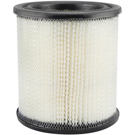 Hastings - Axial Seal Air Filter Elements - AF729