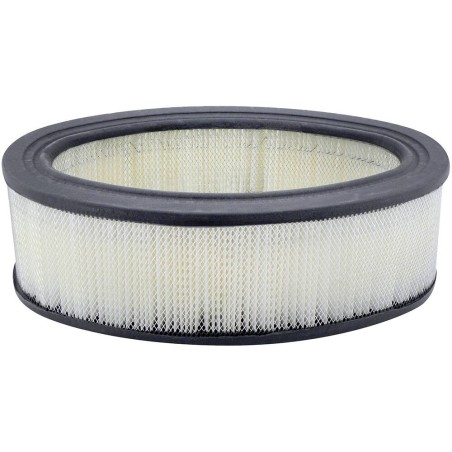 Hastings - Axial Seal Air Filter Elements - AF2