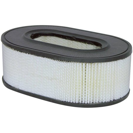 Hastings - Axial Seal Air Filter Elements - AF1035