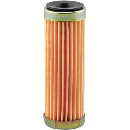 Baldwin - Gasoline Filter Elements - PF894-RV