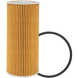 Baldwin - Lube Oil Filter...