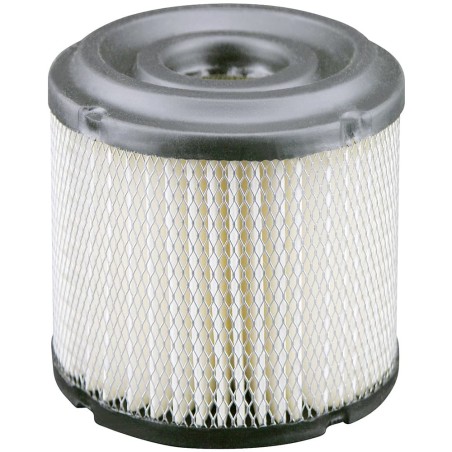 Baldwin - Air Breather Filters - PA1763