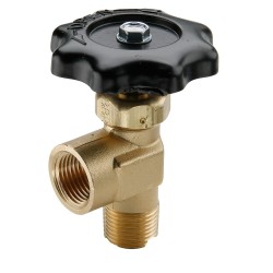 Truck Valves - V405P-6-6