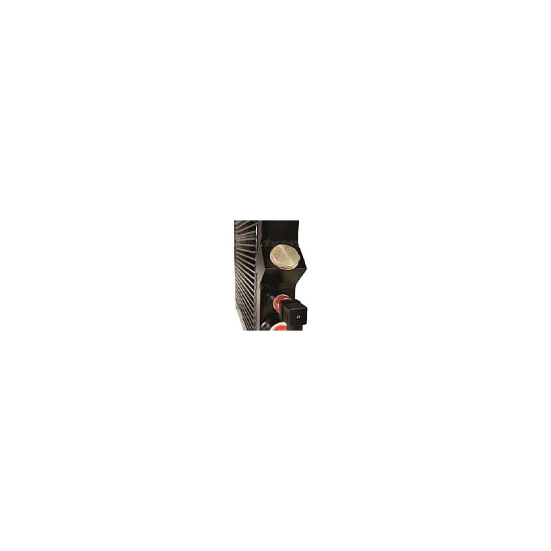 Thermoswitch for Air Oil Coolers - ATS-GF-C100