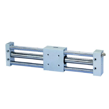 Magnetically coupled rodless cylinder- P1ZS / P1ZG / P1ZT - P1ZM040TCN0050B