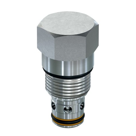 Check Valve with Thermal Relief - D04F2-2.5-245N